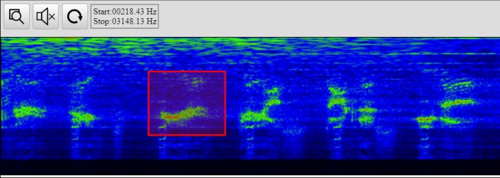 Spectrogram View